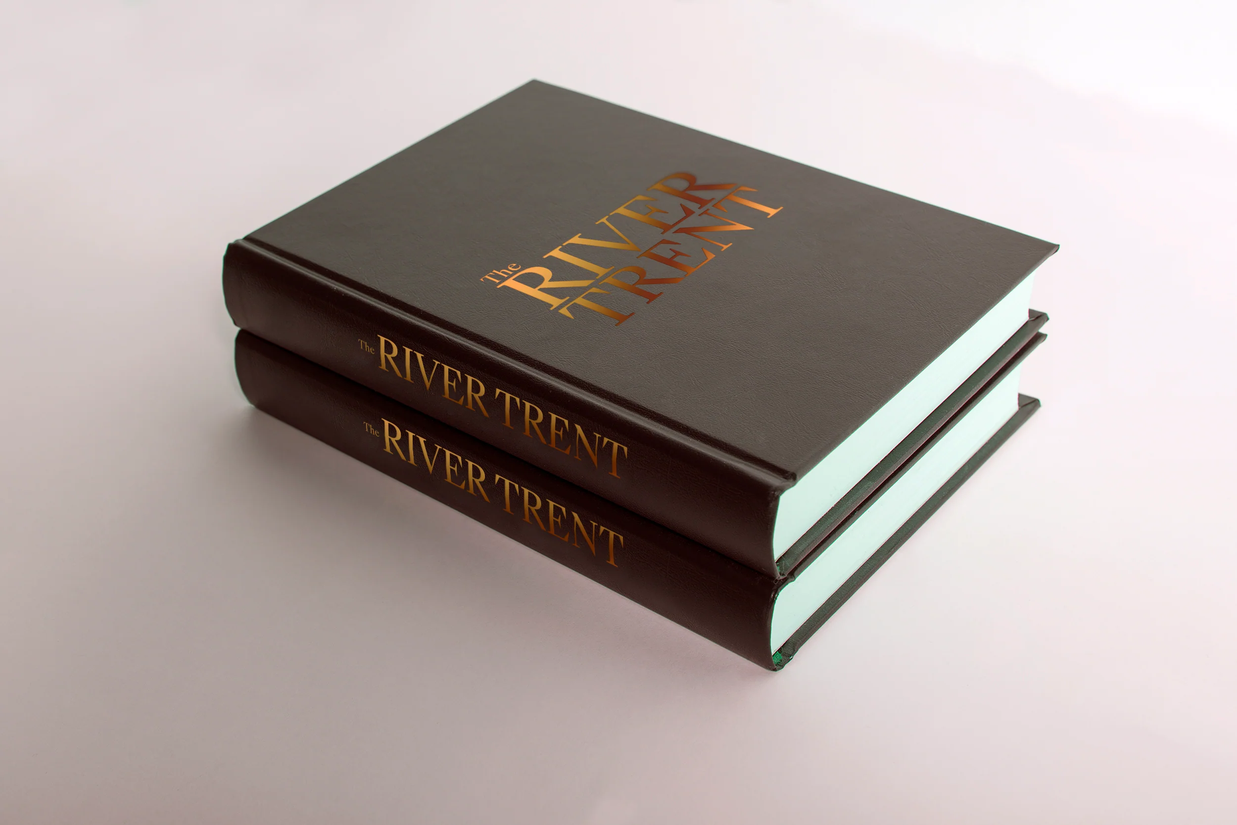The River Trent Book - Image 13