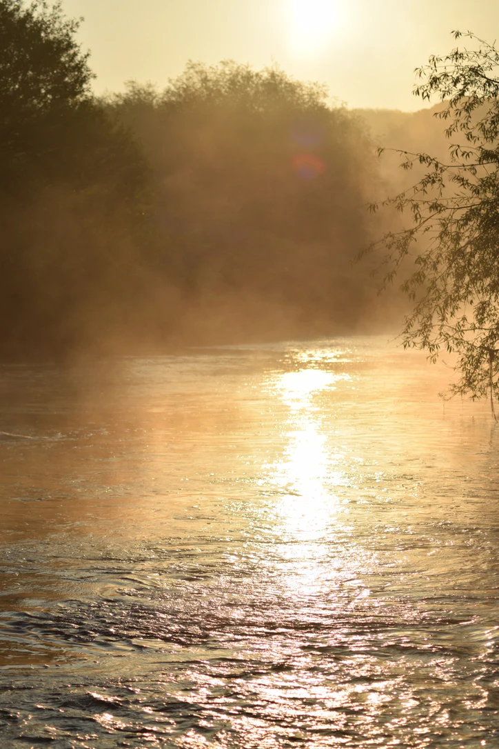 The River Trent Book - Image 7